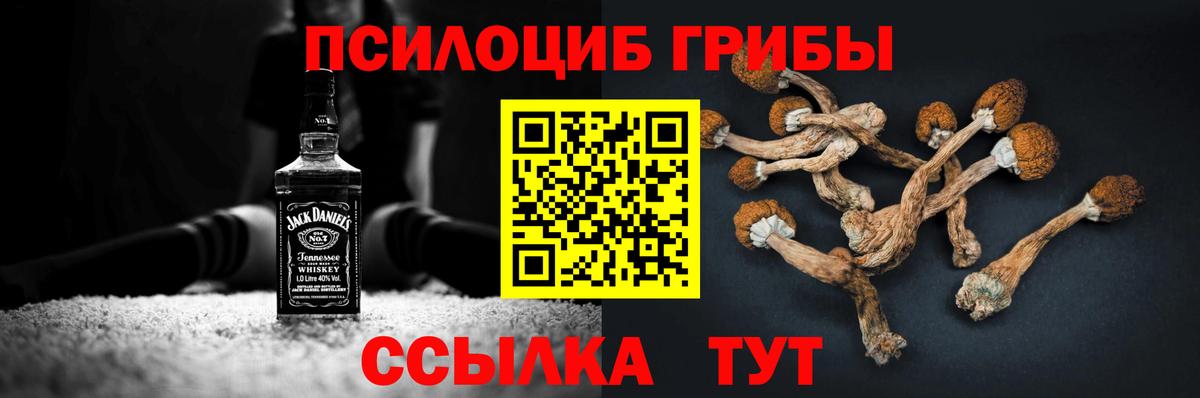 Москва  даркнет сайт  Вход с VPN  Псилоцибиновые грибы мухоморы 