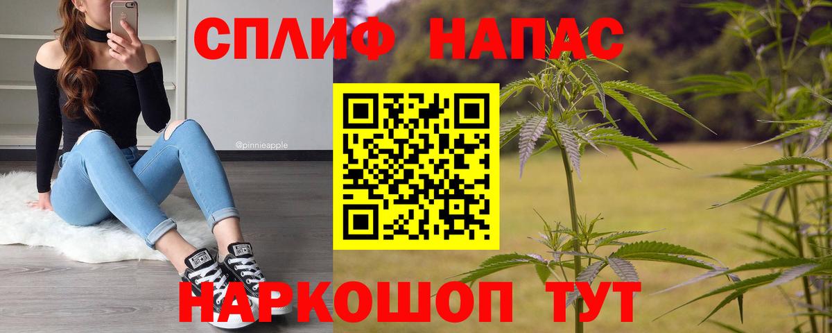МАРИХУАНА сатива  Вход с VPN  Каннабис планчик  Москва  МАРИХУАНА семена 